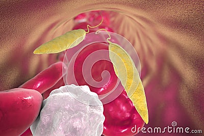 Leishmania parasite in blood Cartoon Illustration