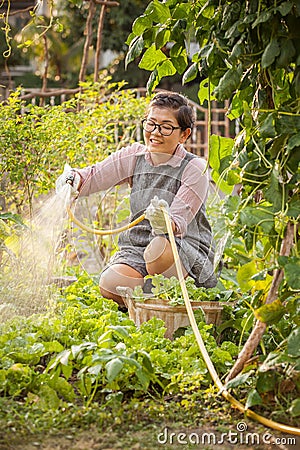 Leisure activities of asian woman in home vegetable garden Stock Photo