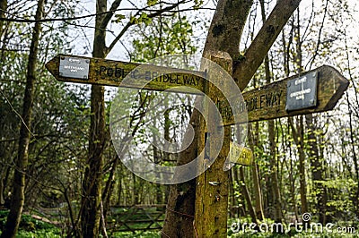 A signpost on the Greensand Way, Surrey, UK Editorial Stock Photo