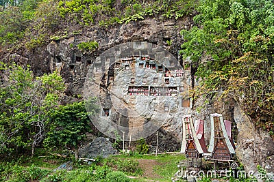 Lemo is cliffs burial site in Tana Toraja, South Sulawesi, Indonesia Stock Photo