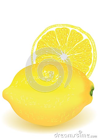 Lemon Vector Illustration