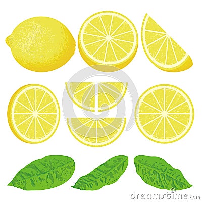 Lemon Vector Illustration