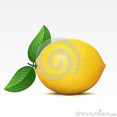 Lemon Vector Illustration