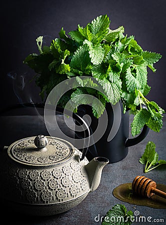 Lemon balm tea for a lazy afternoon Stock Photo