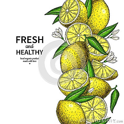 Lemon border vector drawing. Citrus fruit frame template. Vector Illustration