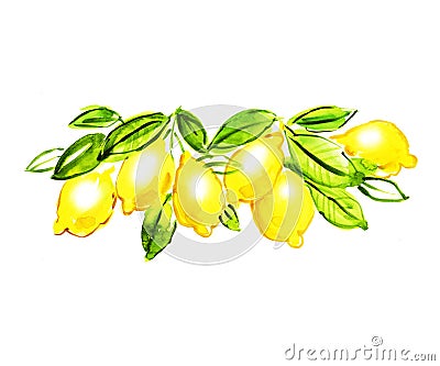 Lemon branch watercolor artwork. Stock Photo