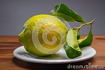 Lemon citron cedrate or Citrus medica, large fragrant citrus fruit with thick rind Stock Photo