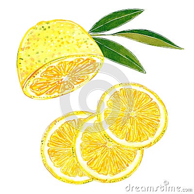 Lemon cut in slices clip art set. Hand drawn watercolor illustration Cartoon Illustration