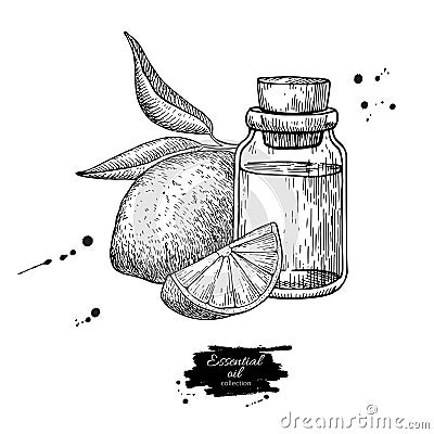 Lemon essential oil bottle and lemon fruit hand drawn vector illustration. Isolated drawing for Aromatherapy treatment, Vector Illustration