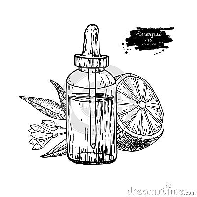 Lemon essential oil bottle and lemon fruit hand drawn vector illustration. Isolated drawing for Aromatherapy treatment, Vector Illustration