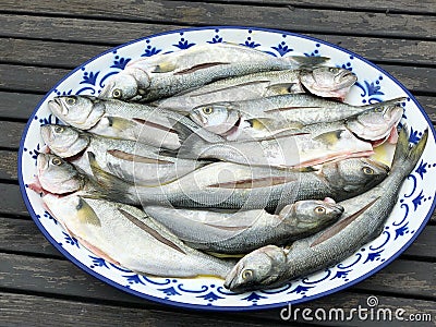 A lemon fish in istanbul is waiting to be cooked. Stock Photo