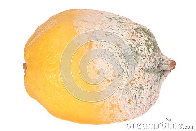 Lemon fruit half-damaged Stock Photo