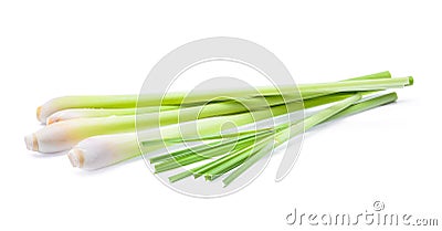 Lemon grass on a whit Stock Photo