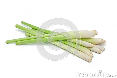 Lemon Grass Stock Photo