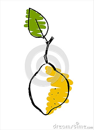 Lemon. Hand drawn vector illustration for fruit stores, restaurants and farm markets promotion Vector Illustration