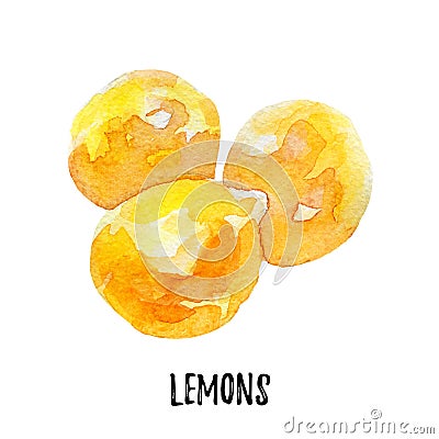 Lemon illustration. Hand drawn watercolor on white background. Cartoon Illustration