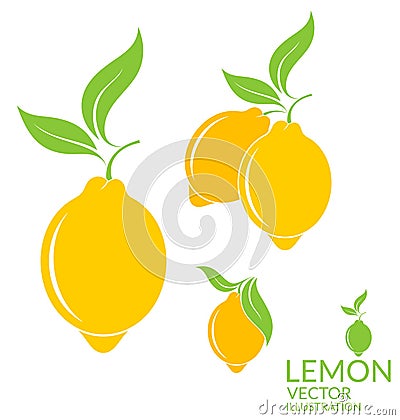 Lemon. Isolated fruit on white background Vector Illustration