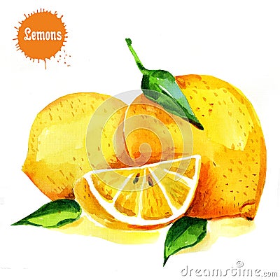 Lemon isolated on white background. Watercolor drawing Stock Photo