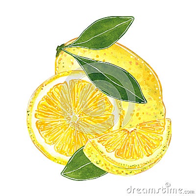 Lemon with leaves illustration for jam, juice, summer menu. Hand drawn watercolor illustration Cartoon Illustration