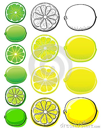 Lemon & Lime Vector Illustration