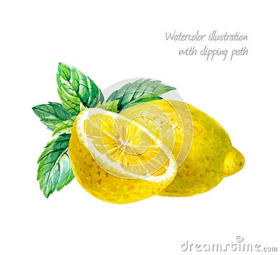 Lemon with mint leaves isolated on white watercolor illustrationn Cartoon Illustration