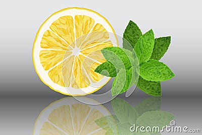 Lemon and mint reslistic vector illustration on grey background Vector Illustration