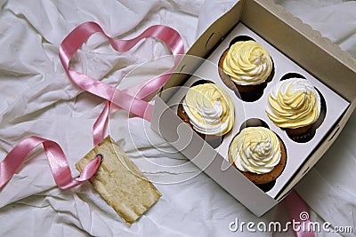 Lemon muffins cupcakes with butter cream Stock Photo