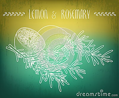 Lemon and rosemary Vector Illustration