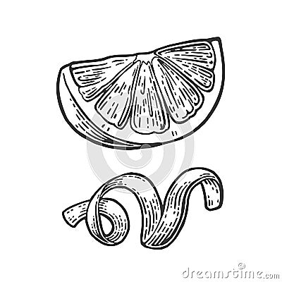 Lemon Slice and peel twirled Vector black vintage engraved Vector Illustration