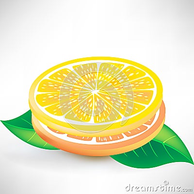 Lemon slices Vector Illustration