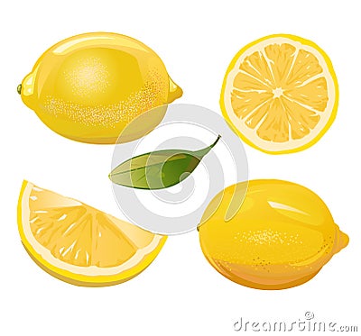 Lemon. Sour citrus fruit. Yellow southern fruit. Isolated object. Vector illustration Vector Illustration