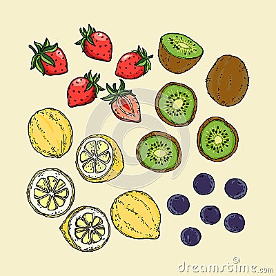 Lemon Strawberry Blueberry and Kiwi Fruit on Background Vector. Vector Illustration