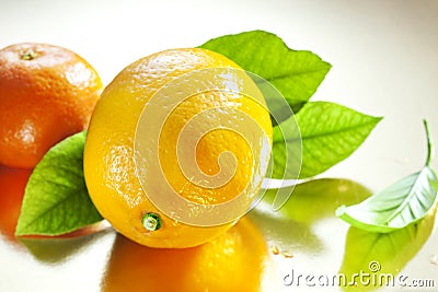 Lemon and tangerine Stock Photo