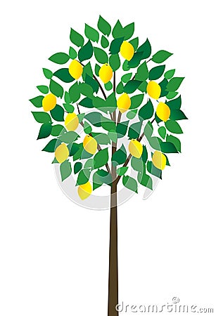 Lemon tree Vector Illustration