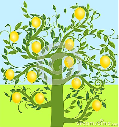 Lemon tree Vector Illustration