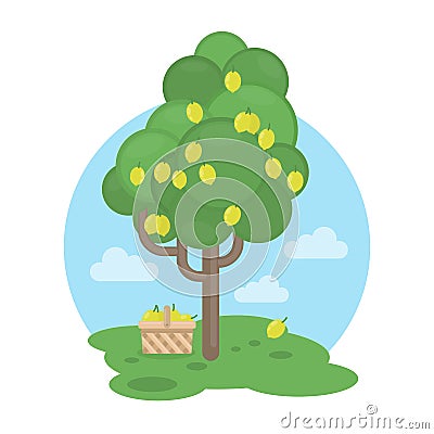 lemon tree. Vector Illustration