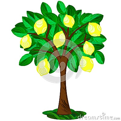 Lemon tree Vector Illustration