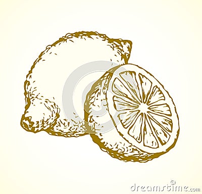 Lemon. Vector drawing Vector Illustration