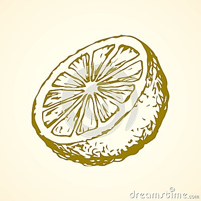 Lemon. Vector drawing Vector Illustration