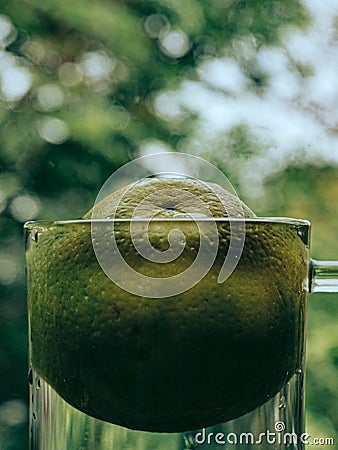 Lemon Water Is Love Stock Photo