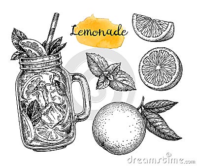 Lemonade and ingredients. Vector Illustration