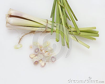 Lemongrass Cymbopogon citratus is a member of the grass tribe that is used as a kitchen spice to scent food. Stock Photo