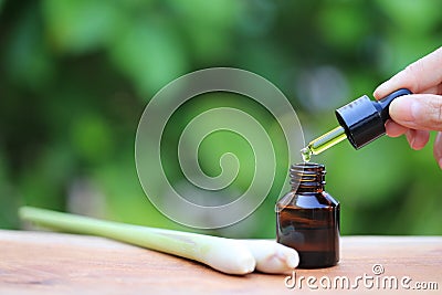 Lemongrass essential oil dropping to glass bottles on natural green background, Insect repellent Stock Photo