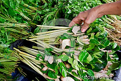 Lemongrass and kaffer lime leaf in market Stock Photo