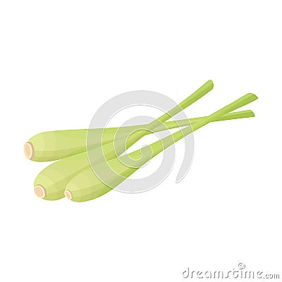 Lemongrass stalk three branches icon. Sliced lemongrass stalk, for Thai soup, seasoning. Or cosmetics Vector Illustration