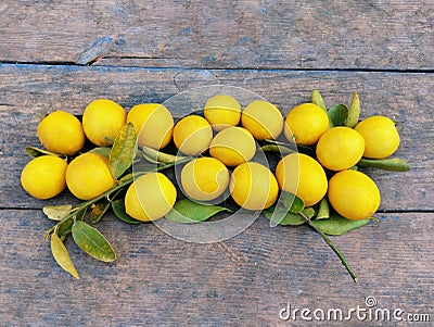 Ripe yellow lemons citrus fruit fresh juicy shining organic citron lemon fruits raw limon food neemboo limao photo Stock Photo