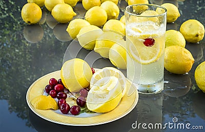 Lemons & Cranberrys Stock Photo