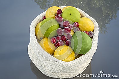 Lemons and Limes with Cranberrys Stock Photo