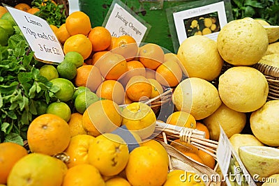 Lemons, limes and juicing oranges on display at Borough Market Stock Photo