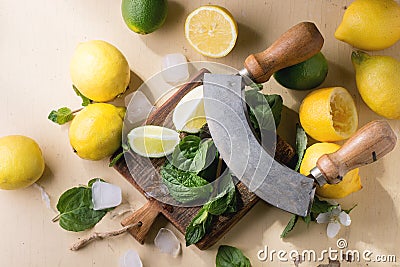 Lemons, limes and mint Stock Photo